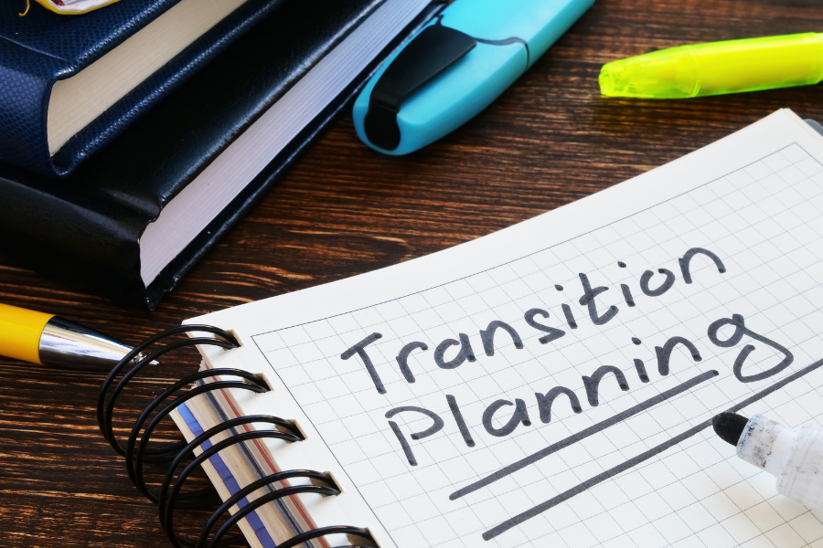 Companies in Transition