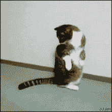 long tail