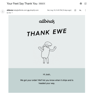 allbirds-thank-you-email-939x1024