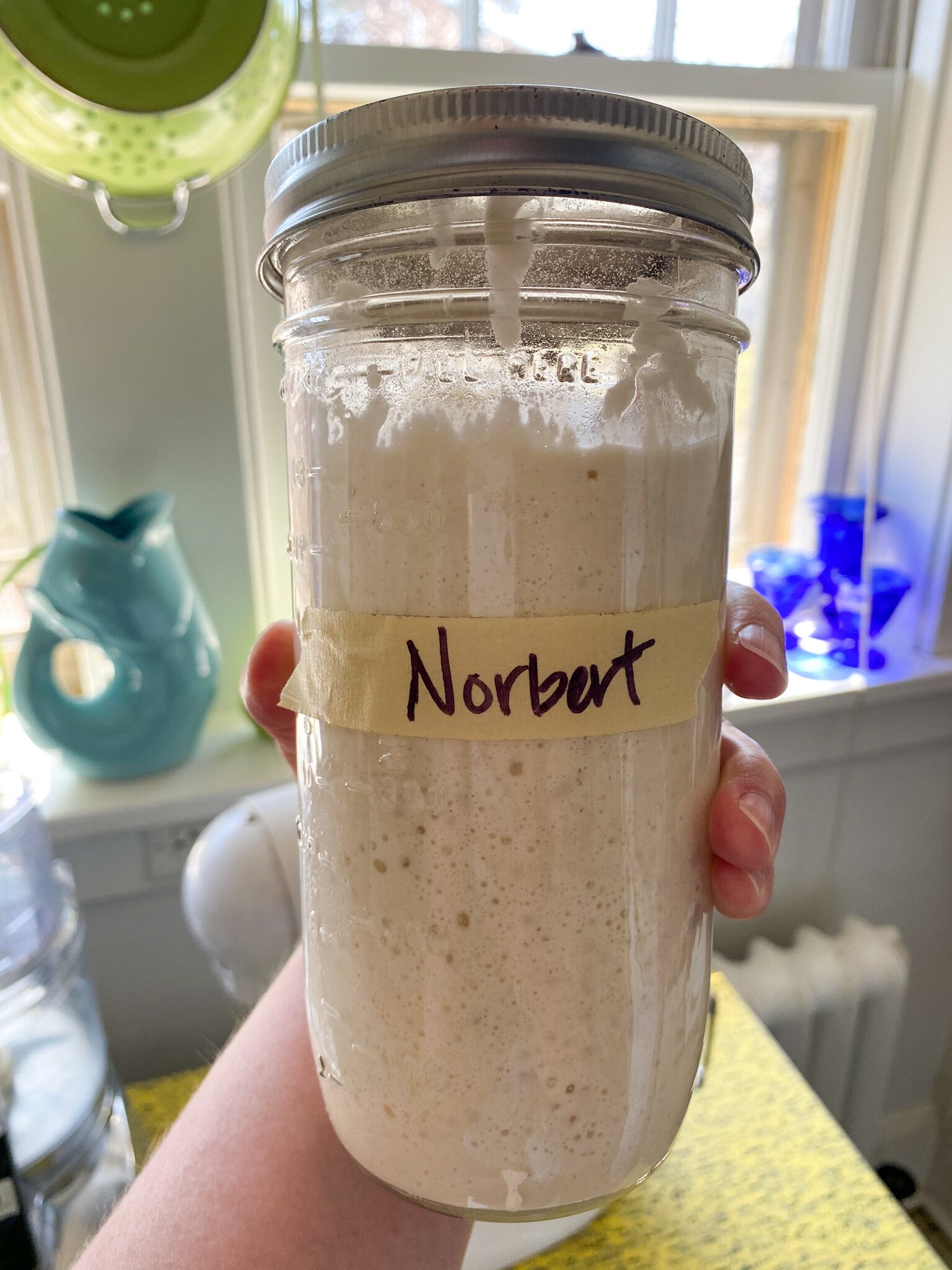 Norbert