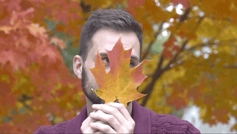 giphy-Oct-07-2026-04-08-33-7056-PM