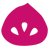 NEW Pink Fig