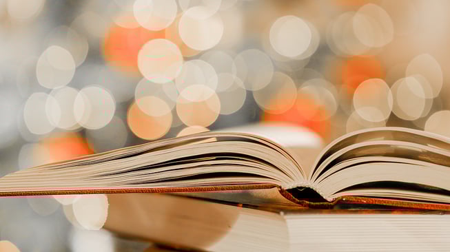 bigstock-Christmas-Books-Winter-Books--460137767