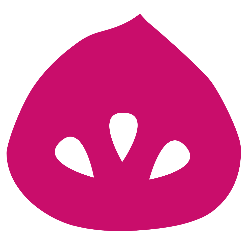 NEW Pink Fig